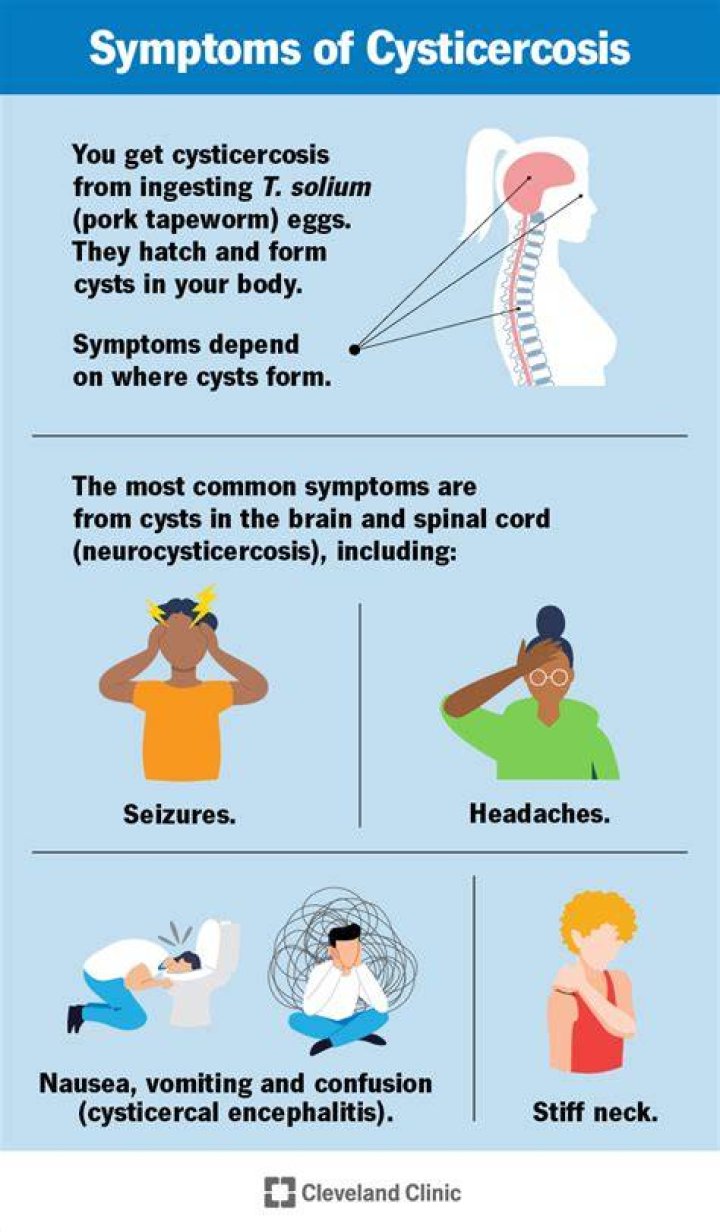 What does cysticercosis mean