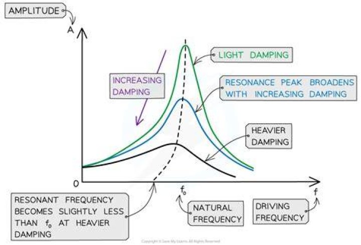 What does damping-off affect