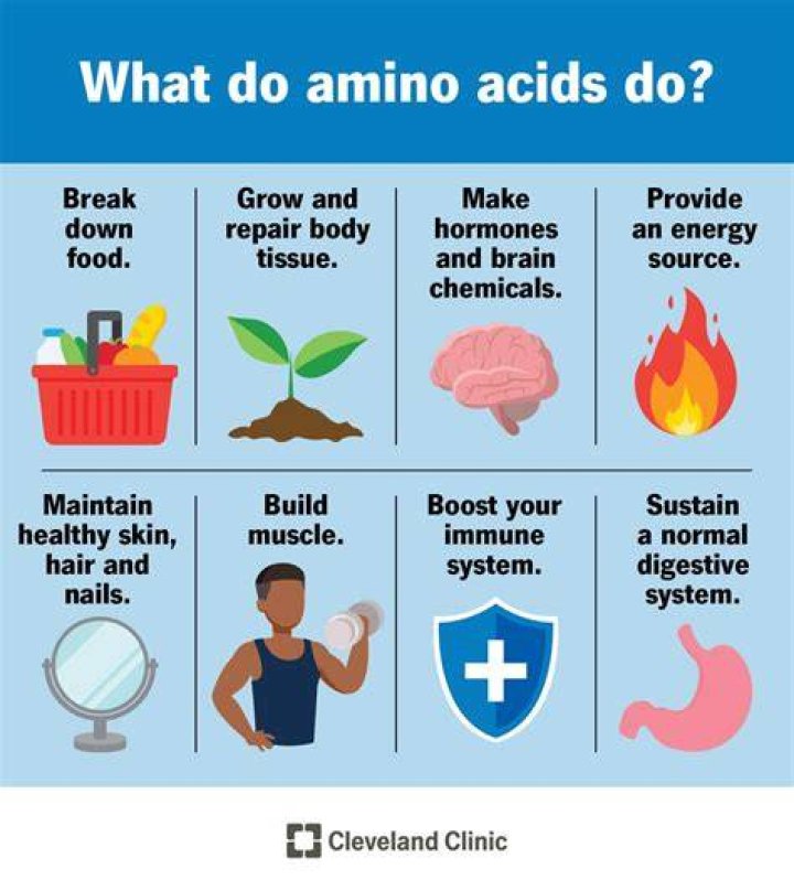 What does each amino acid do