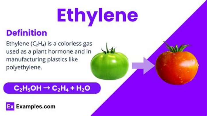 What does ethylene look like