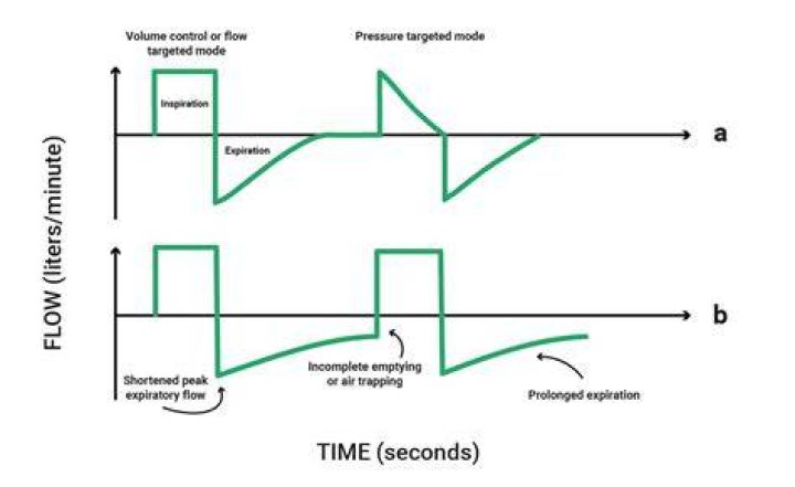 What does flow exercise mean