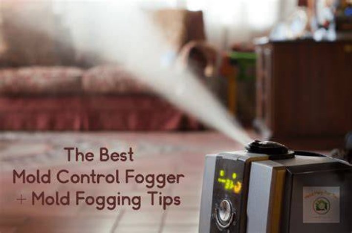 What does fogging do to mold