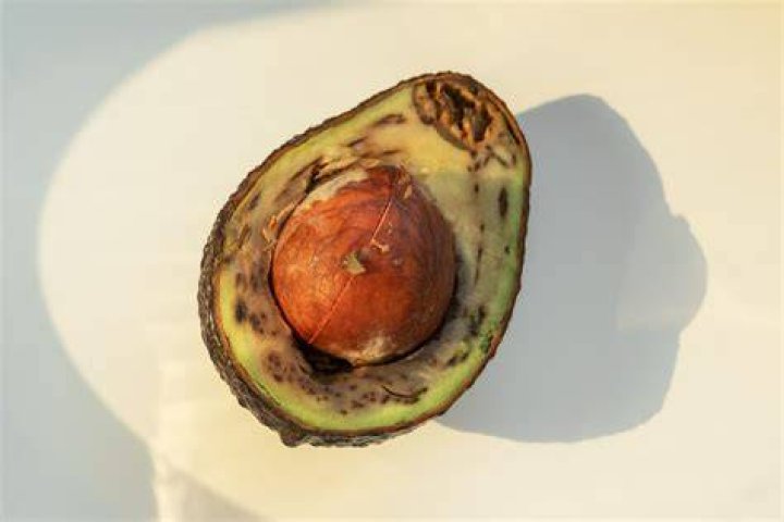 What does fresh avocado mean
