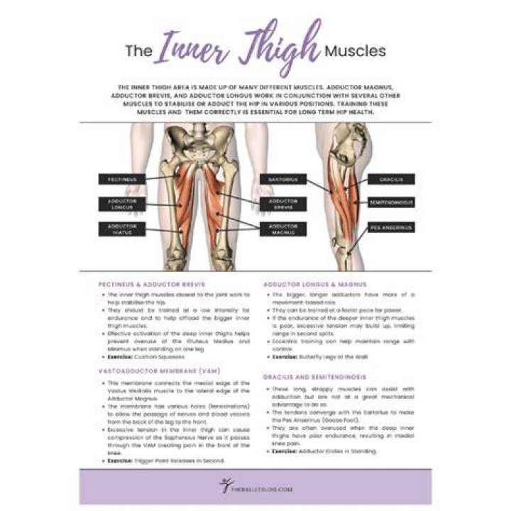 What does hip and thigh mean