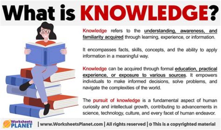 What does job knowledge mean