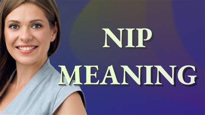 What does nip mean in drinks