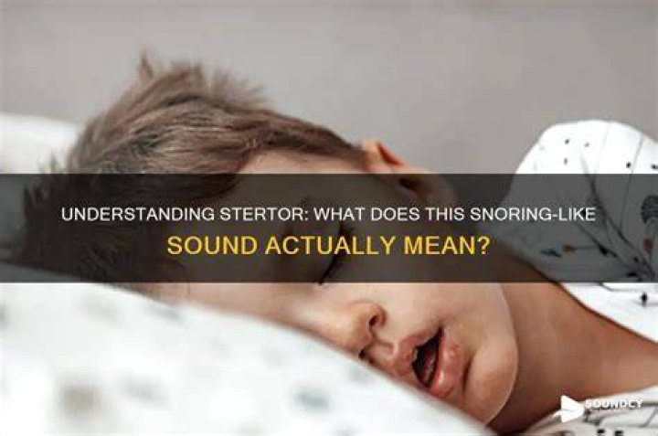 What does Stertor sound like