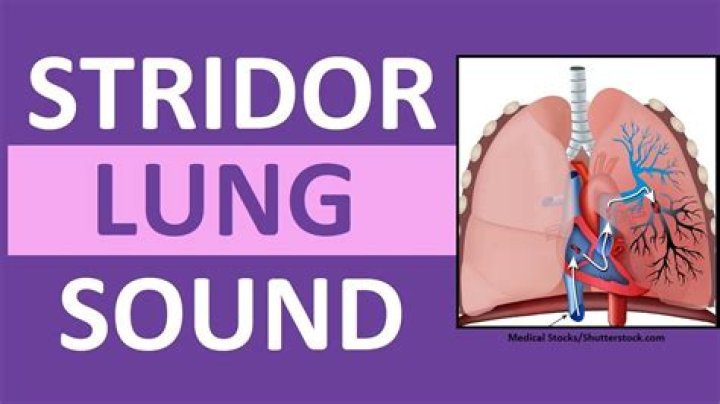 What does stridor sound like