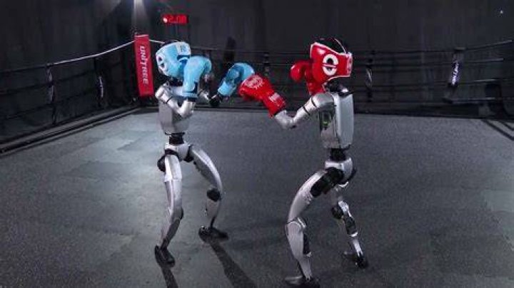 What does the boxer robot do