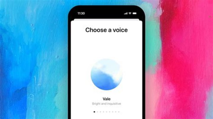 What does the S Voice app do