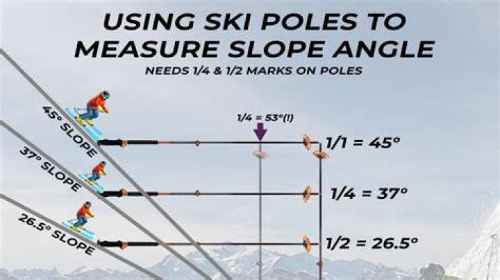 What does the slope 1/4 mean