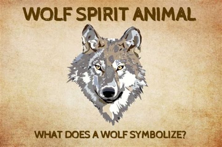 What does the wolf symbolize