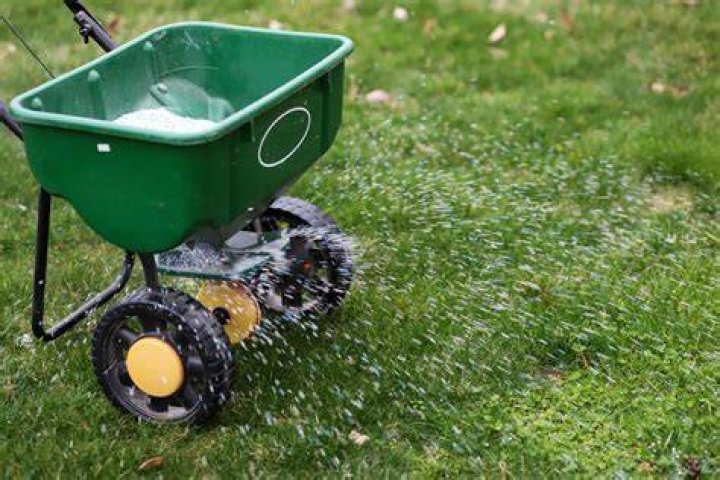 What does TruGreen spray for