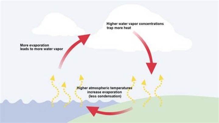 What does water vapour mean
