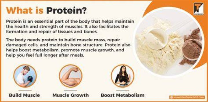 What does whey protein do for your body