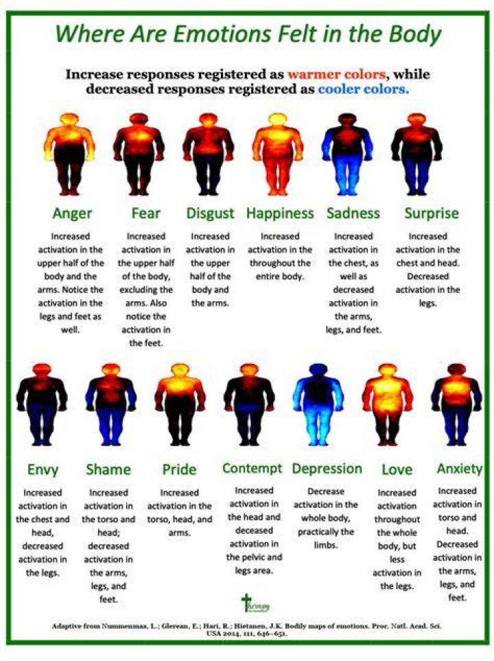What emotions do lungs hold