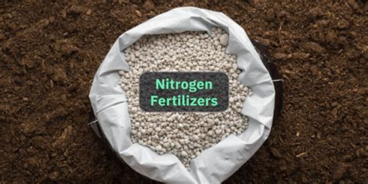 What fertilizer has nitrate
