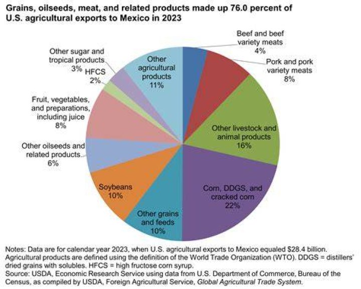 What food does Mexico import