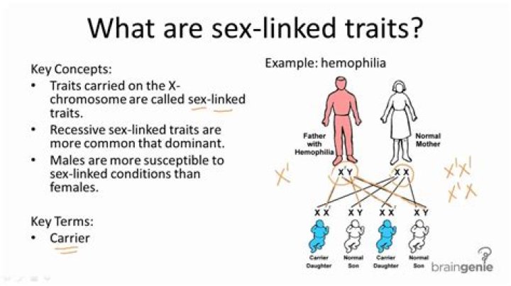 What human traits are linked