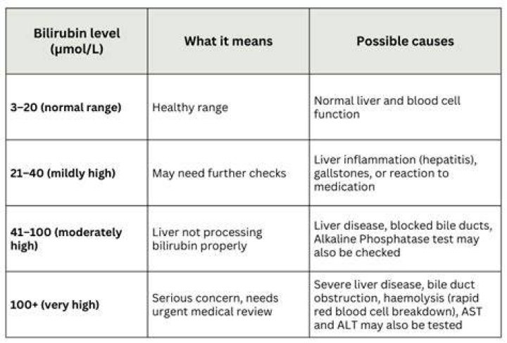 What hyperbilirubinemia mean