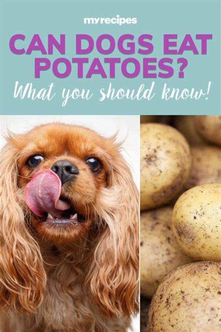 What if my dog eats stuffing
