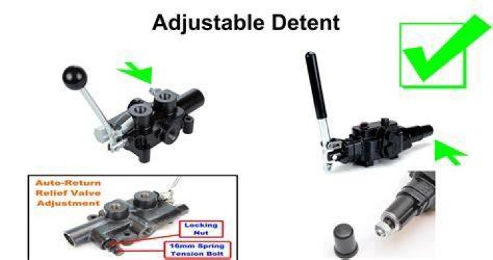 What is a float detent valve