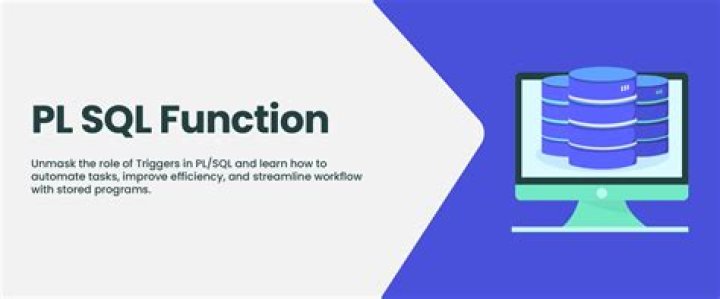 What is a function in PL SQL
