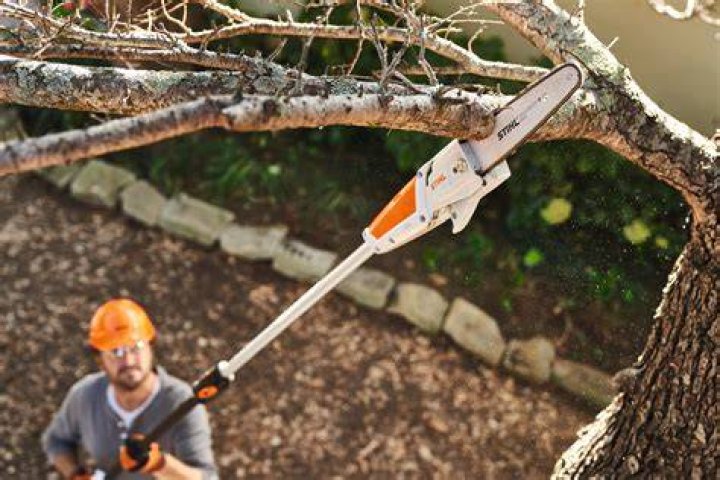 What is a good pole chainsaw