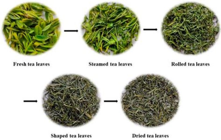 What is a good tea strainer