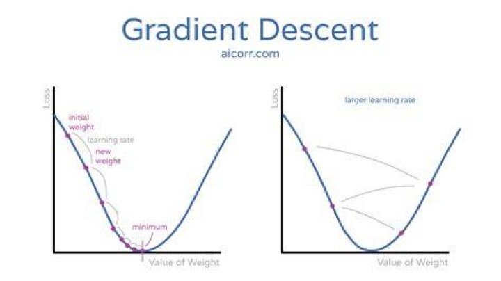 What is a gradient level