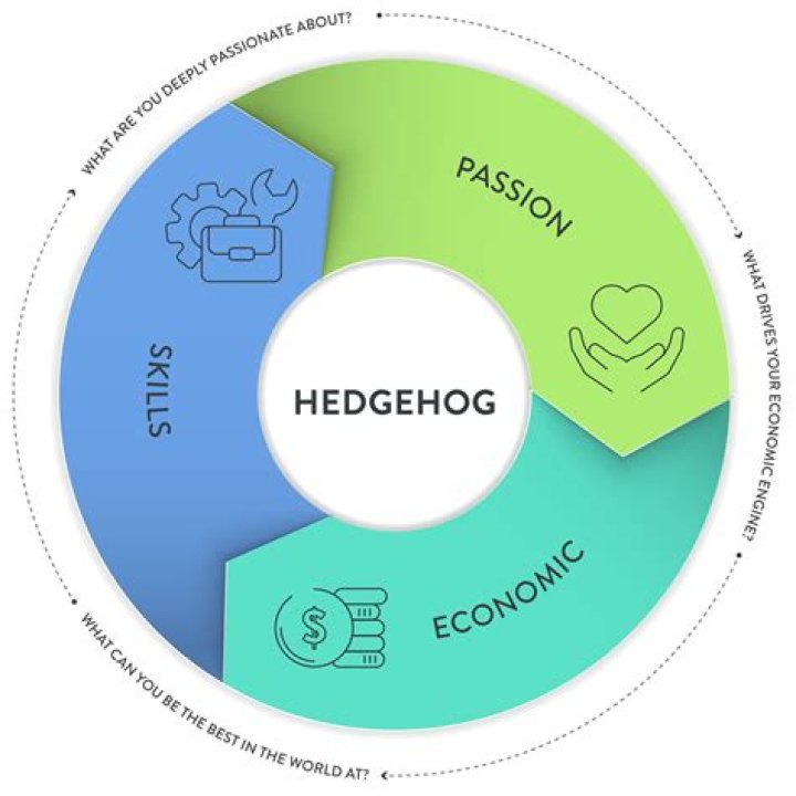 What is a hedgehog statement