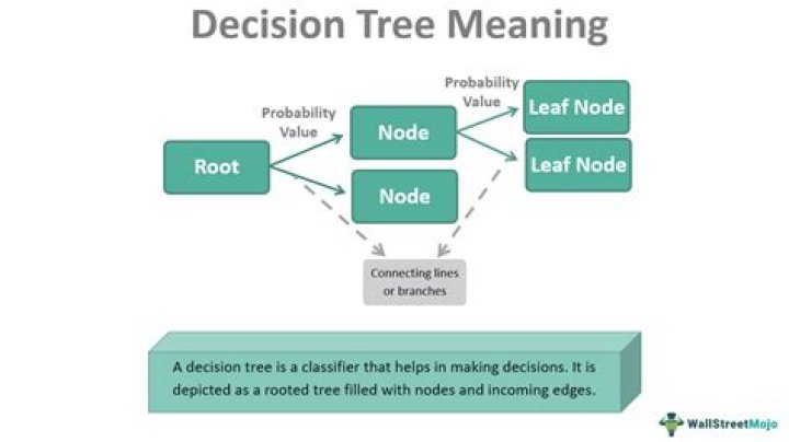 What is a judicious decision