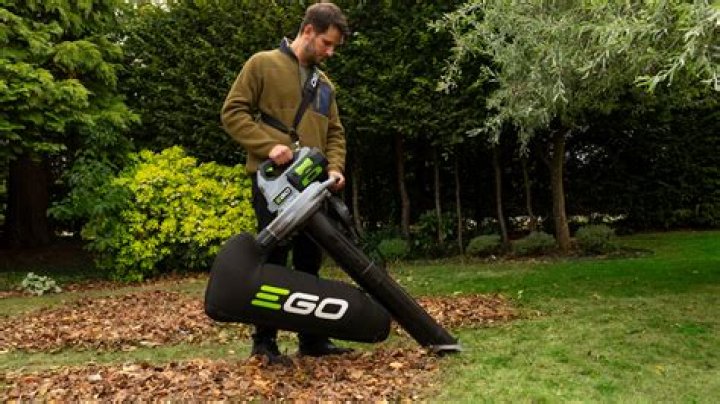 What is a leaf blower vacuum