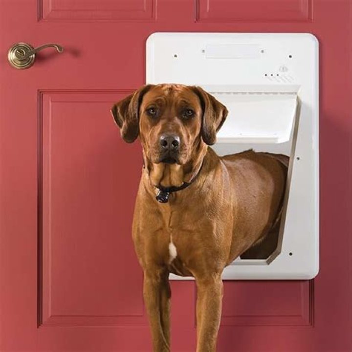 What is a microchip dog door