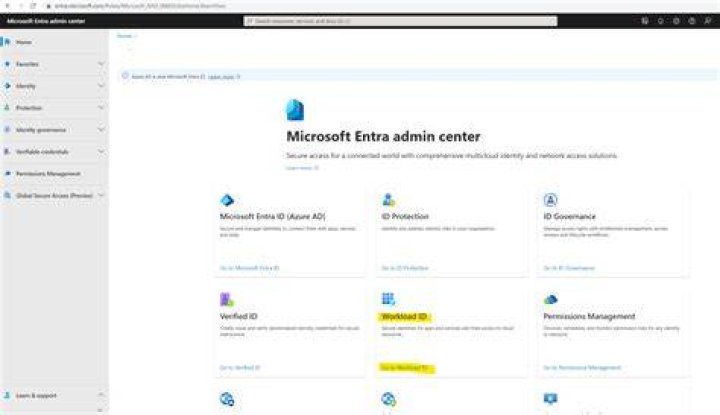 What is a Microsoft workload