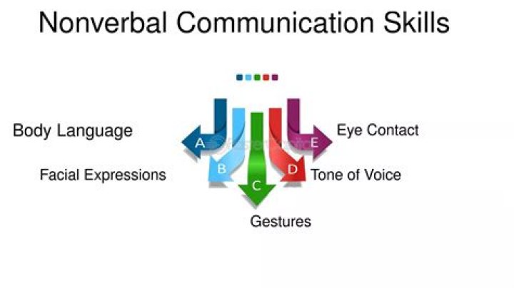 What is a nonverbal response