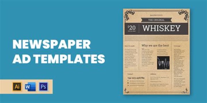 What is a partisan newspaper