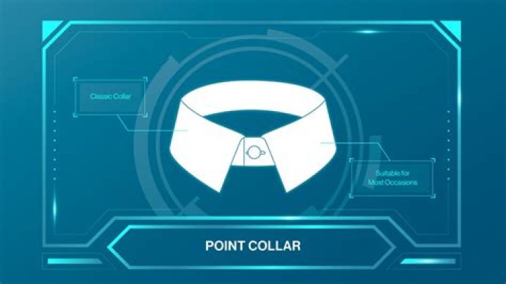 What is a point collar style