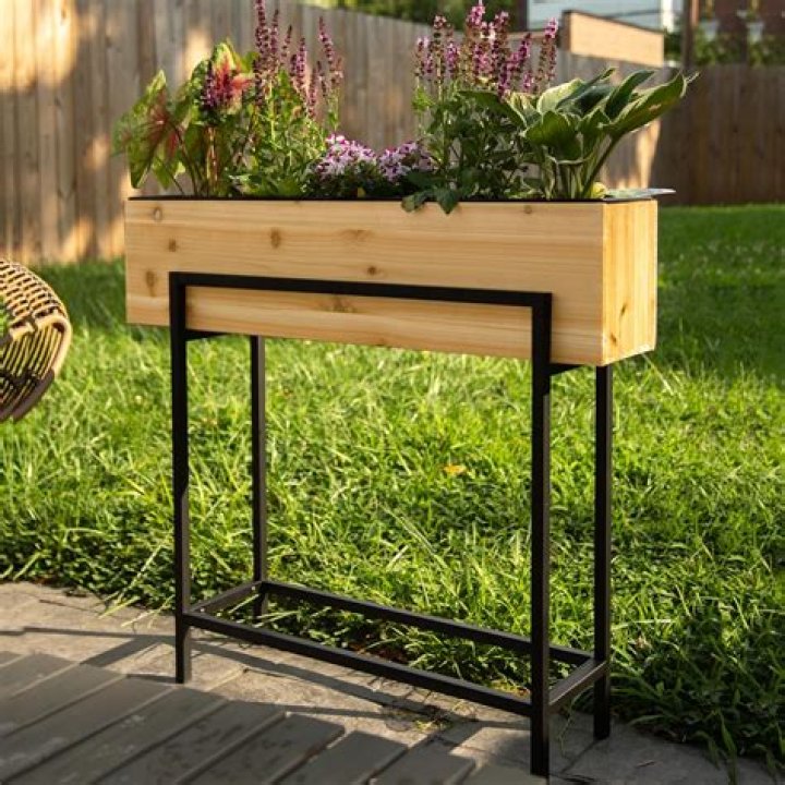 What is a raised speed table