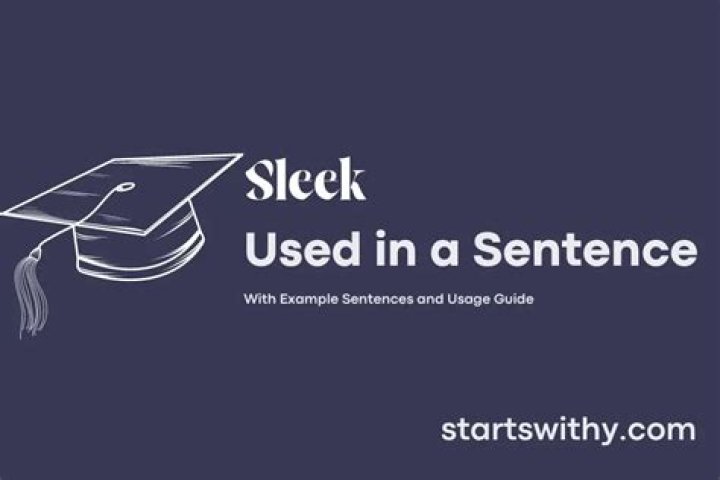 What is a sentence for sleek