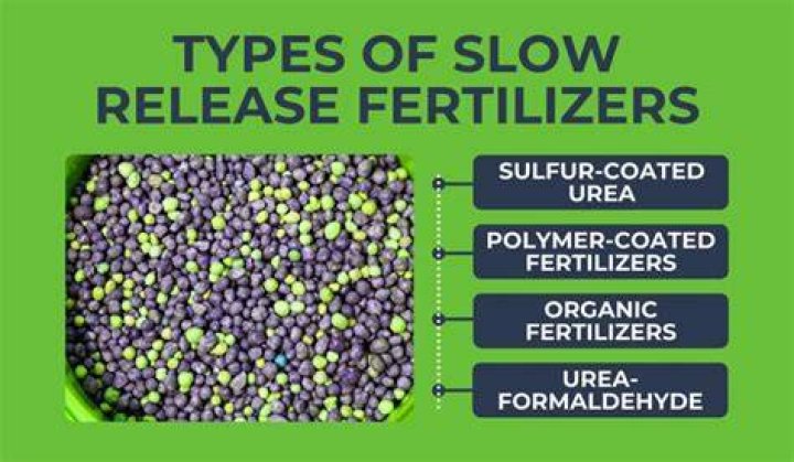 What is a slow-moving liquid