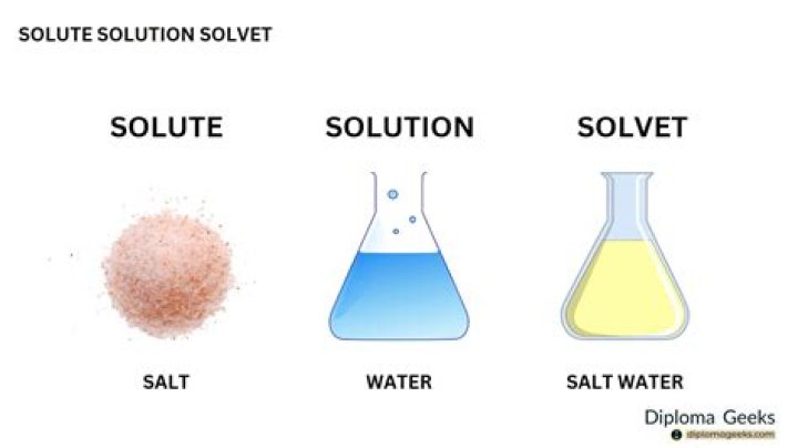 What is a solute and solvent