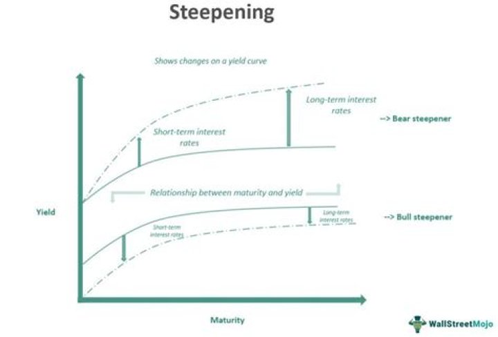 What is a Steepener position