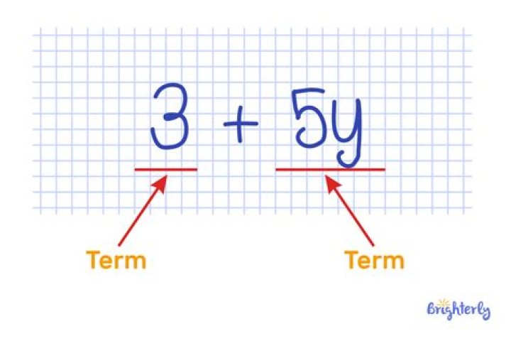What is a term in a function