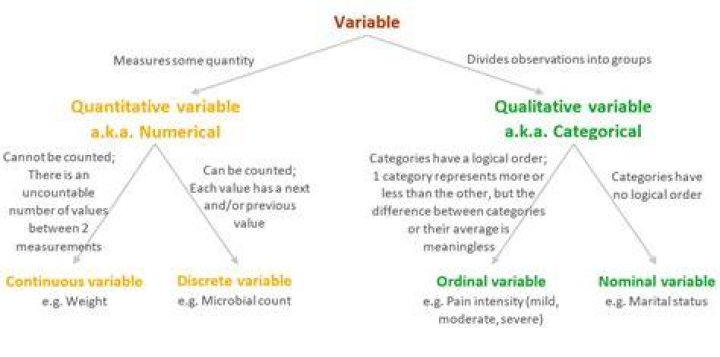 What is a treatment variable