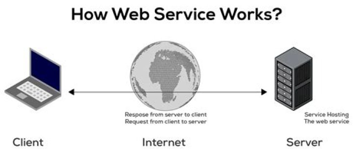 What is a Web service client
