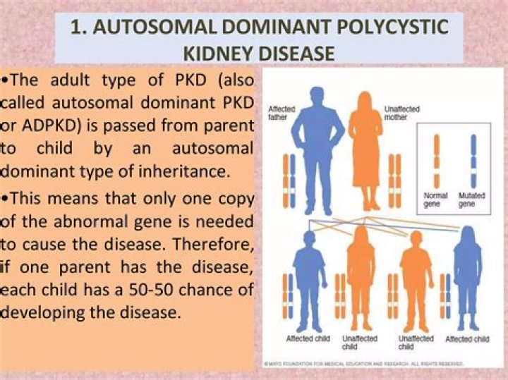 What is Adpkd stands for
