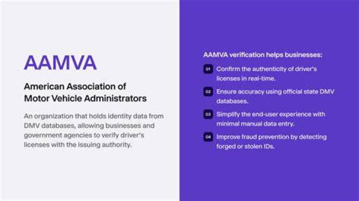 What is an AAMVA conviction