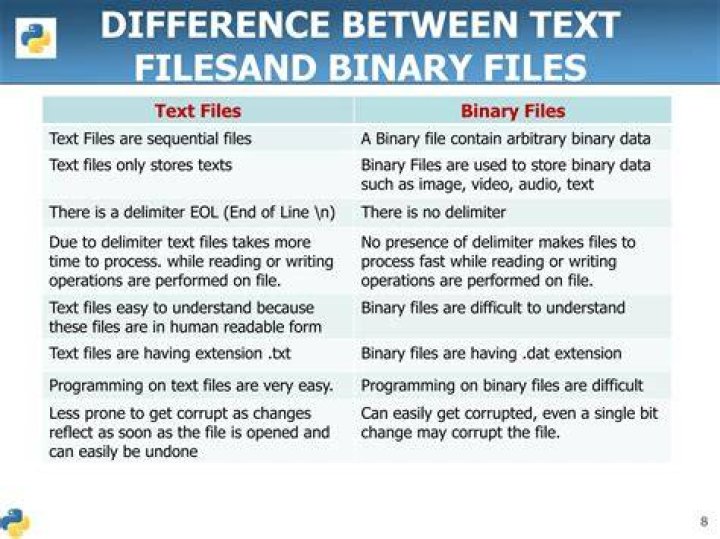 What is binary and text file