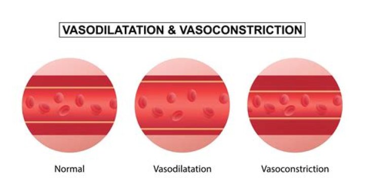 What is called vasodilation
